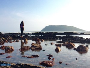 Tour Vũng Chùa Đảo Yến – Bãi Đá Nhảy – Đồi Cát mua 6 tặng 1 giá 900.000 vnđ